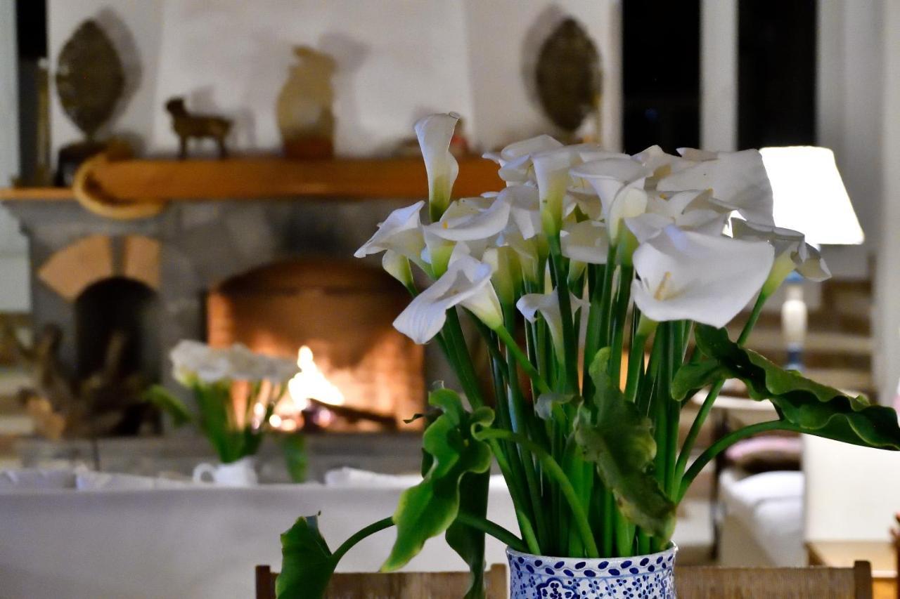 Quinta Cielo - Hotel Boutique Y Restaurante Malinalco Εξωτερικό φωτογραφία